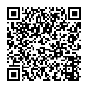 这血战九式可是混沌巨人族经过了无数年锤炼之后凝结而成的战技二维码生成