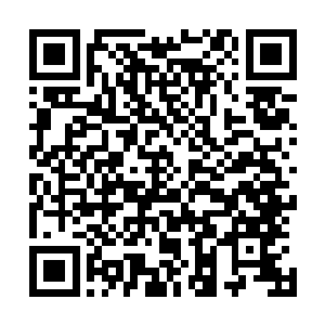 这血甲男子的身上也忽然浮现出一个绽放着璀璨蓝光的符文二维码生成