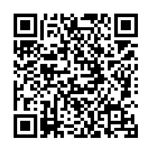 这血虎之翼可是我们嗜神血虎族老祖宗炼制的仙器法宝二维码生成