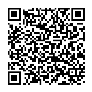 这血袍男子的身边就好像是多了无数个骨皇在同时朝他发起攻击一样二维码生成