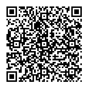 这要是传出去估计都沒人相信封霖是什么人封老的亲孙子而小本不过是封家的一个类似管家人物而已二维码生成