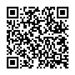 这计划一推出恐怕有很多人会骂你在动摇女子的家庭地位二维码生成