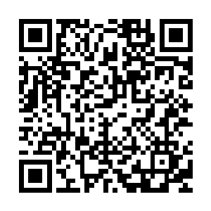 这让刚刚开开车门想上车的寇大鹏和王白丽丈二和尚摸不着头脑二维码生成