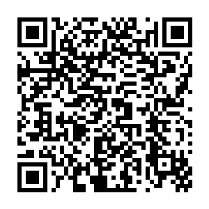 这让史蒂文想起了当初在格林ˉ希尔的要求下第一次和雨果见面时的情形二维码生成