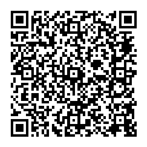 这让奈蒂莉的脸没有了纳美人的粗犷和原始感――这种原始感来自于塌鼻梁和宽扁额头的设计二维码生成