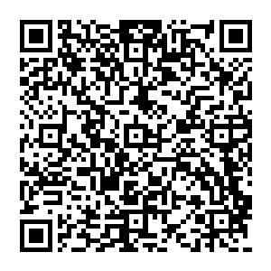 这让妮娜有点钦佩――虽然不知道对方是就真的不介意老板是只猫还是有不满却没有表现出来二维码生成