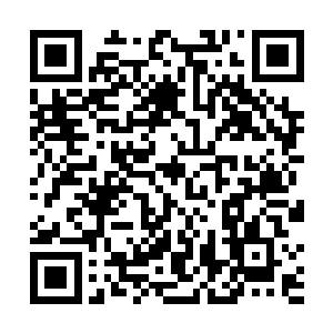 这让流墨墨他们基本确定那应该是从会场里出来的龙族~二维码生成