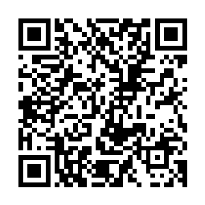 这说明两架飞机的主要攻击手段不是机翼上的固定机枪和火箭弹二维码生成