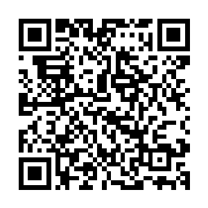 这跟只会用自杀式爆炸车辆冲击房屋建筑的恐怖分子袭击做法二维码生成