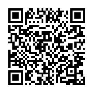 这跟铁塔一样高的金刚巨猿硬生生的被林铭砸得内脏爆碎二维码生成