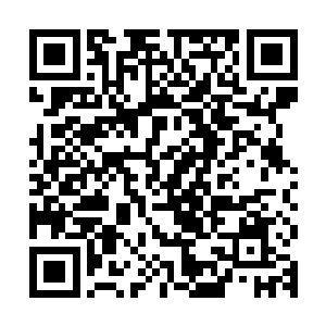 这身影正是之前主动请缨前去打探人族伏兵动向的那位墨族域主二维码生成
