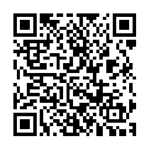 这车板可不是回燕南时特制的铺满棉垫子打滚都不怕的车板了二维码生成