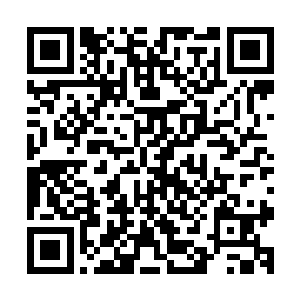 这辆车子的车牌号和他之前跟踪的那辆悍马的车牌号一模一样二维码生成