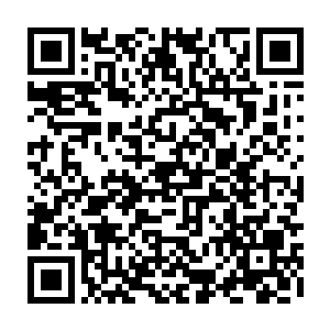 这边可以从深红血刺的口中获知到可以吞噬同族而不会出现问题的秘密了二维码生成