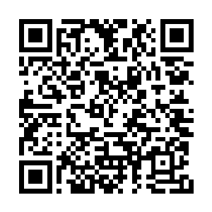 这还是他们第一次人将艾欧莉亚的飞牌给挡掉的二维码生成