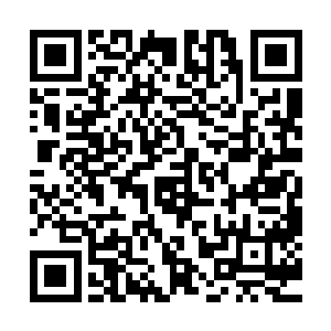 这道大门的里面是用钢轨和钢板加固过的倾泻向下的悠长隧道二维码生成