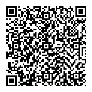 这部电影不那么优秀的票房也让宣传方只能穷尽一切省钱的办法进行宣传――像是克里斯之前就很仗义地自备宣传西服出席各个场合二维码生成