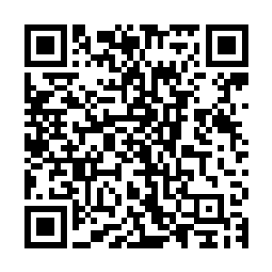 这部跟随三位拳击手和他们教练的命运的小成本纪录片大放异彩二维码生成