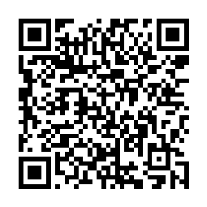 这都已经算是教廷的圣术克制黑暗议会的黑暗秘术的缘故了二维码生成
