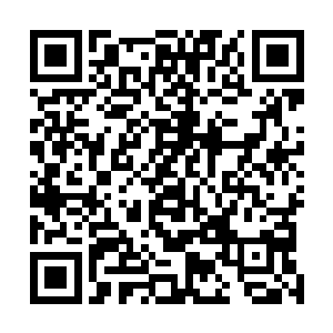 这酒中的竟然下的不是什么毒药而是和她的一样是蒙汗药二维码生成