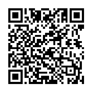 这酒葫芦在炼制的过程中可是添加了令酒发酵的特殊阵法二维码生成