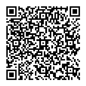 这里…是…至尊古藏…我也…也是在数月前发现这里…借…借助…这里的至尊…之力…一举突破至尊境…二维码生成