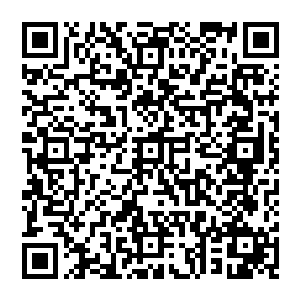 这里不仅仅是连接下界之地 更是一处历练的地方 汇聚了这颗修真星的无数青年弟子 前來历练寻宝二维码生成