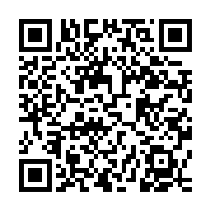 这里出现的那些介绍炼丹方法和注意事项的玉简绝对不是偶然二维码生成