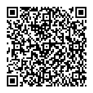 这里原本是一出禁地的边缘 前段时间我宗内一位大能巡游到此 在此地发现透山而出的息壤之气 因此施展二维码生成