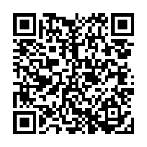 这里大多数的朋友都不止一次参加我们万宝商铺的拍卖会了二维码生成
