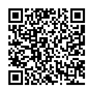 这里已经被建设成了一处小型星舰维修船坞和垂直发射井二维码生成