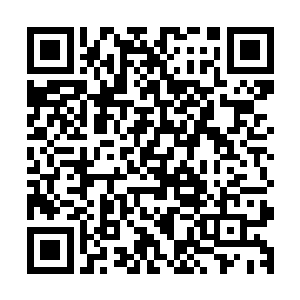 这里很可能是在远古时代存在于鸿蒙蛮荒世界的一处传承之地二维码生成