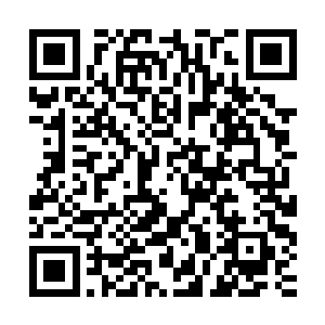 这里怎么会有人拿着火箭炮伏击我们快我们快下车不然坐在车上二维码生成