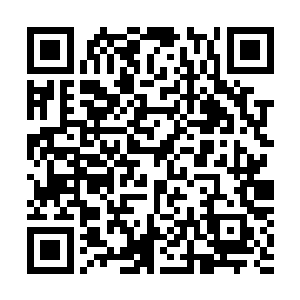 这里最起码有三名顶级骇客操控着无数明里暗里的监控设备二维码生成