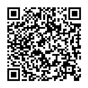 这里现在已经是属于他的了……当然是他想怎么样逛都没有什么问题的二维码生成