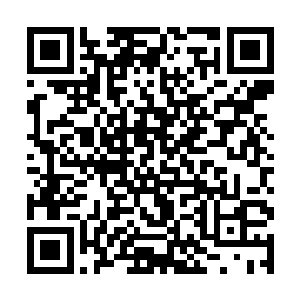 这里的人在没有遇到利益划分的时候确实表现的很好二维码生成