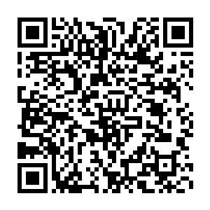 这里的种种痕迹都在体现这个地方的确是曾经存在过某种智慧生物二维码生成