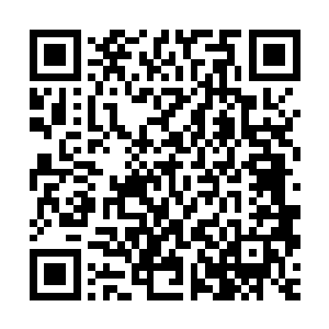 这里的绿毛死灵比先前攻击第十小队的绿毛死灵还要多一倍左右二维码生成