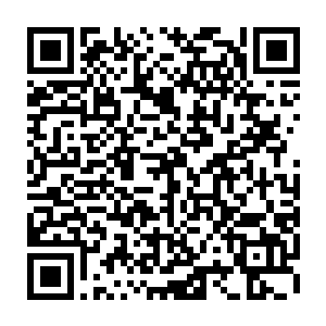 这里的车辆每一辆的车尾都有一枚青龙文耀标记――这些都是青龙会的车二维码生成