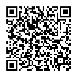 这里面一些功法和武技对圣域的晋升和日后的领悟都有不错的引导作用二维码生成