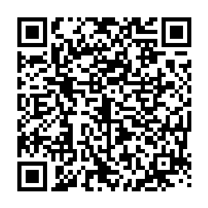 这银色飞船上一行人正是从道魂界前往真凡大世界的十万修士和一百多名妖皇二维码生成