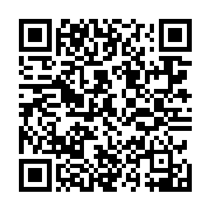 这长鞭和上次的大手都是张守杰闭关期间研究的攻击手段二维码生成