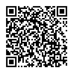 这难道接下来流墨墨塞乾坤袋里的伤员难不成还会出点儿什么问题二维码生成