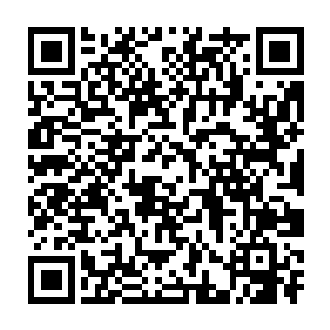 这项工作的复杂程度已经超过了硕士生或者普通博士生所能掌握的范畴二维码生成