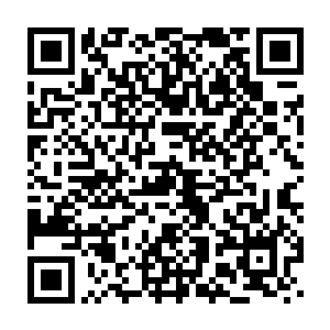 这颗生界丹是否具有辅助修士修炼出界的功效一会儿各位道友自行评判二维码生成
