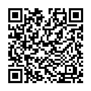 这首诗象征着什么表达了作者的什么感情他连一个字都不会提起二维码生成