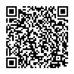 进一步加重了这次赛博朋克文化展在计算机和电脑网络爱好者心目中的地位二维码生成