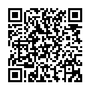 进入分支刚将小虎安排好走出房门就看到管家聂冲再次迎了过来二维码生成