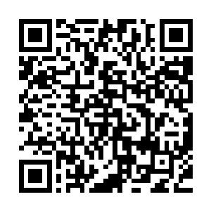 进入房间我从储物戒里瞬移出端木森之前交给我的三本小册子二维码生成