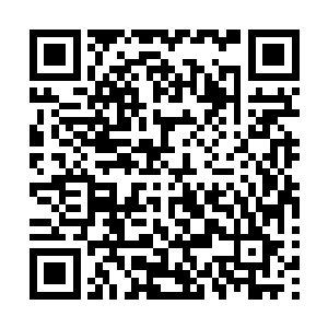 进去后要不是她们再三确定它已经死去她们甚至不敢靠近它二维码生成